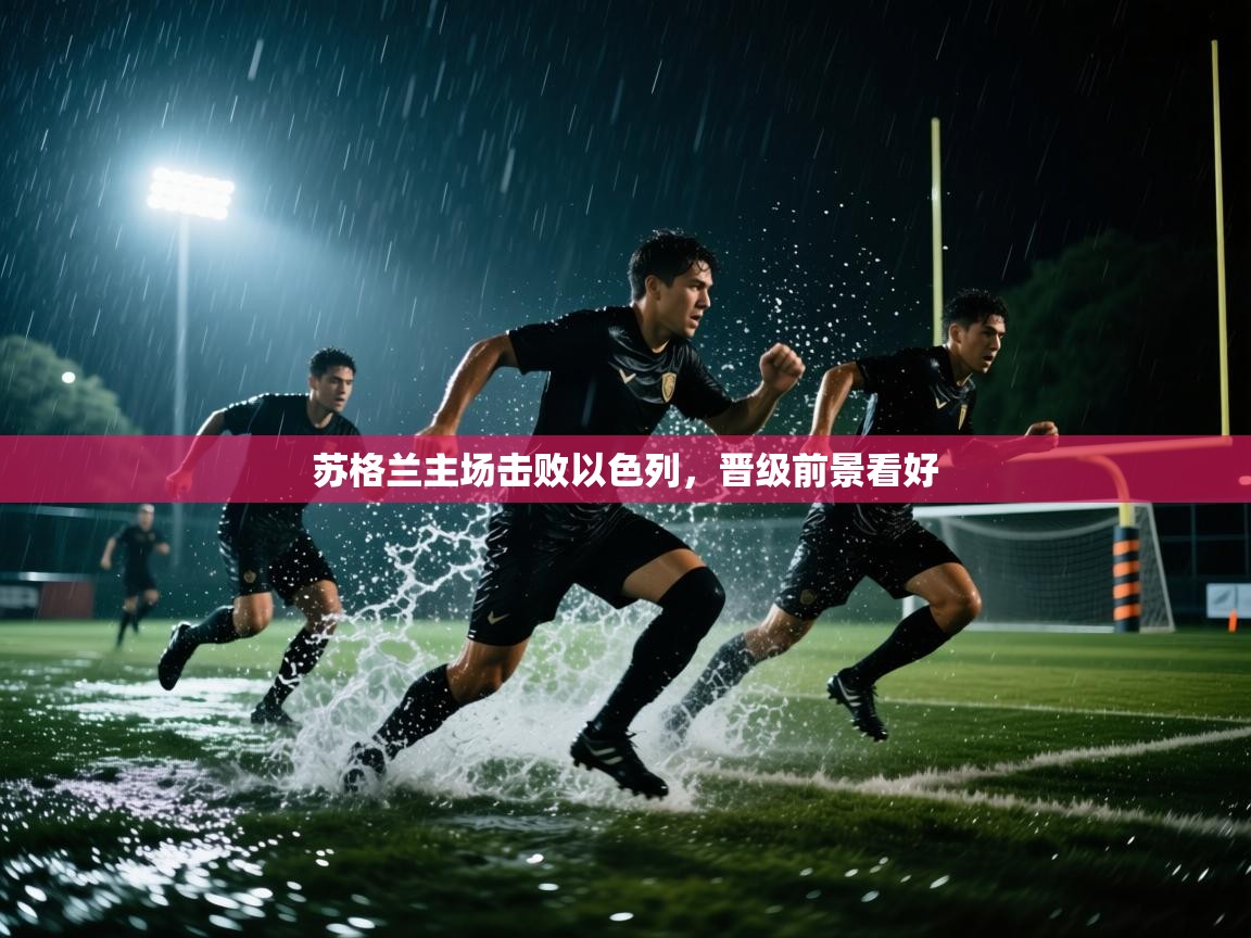 苏格兰主场击败以色列，晋级前景看好  第2张